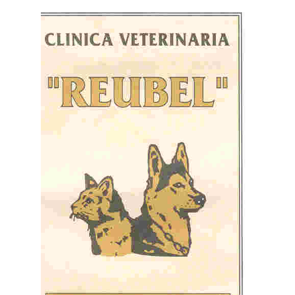 Clinica Veterinaria Reubel — Del propietario