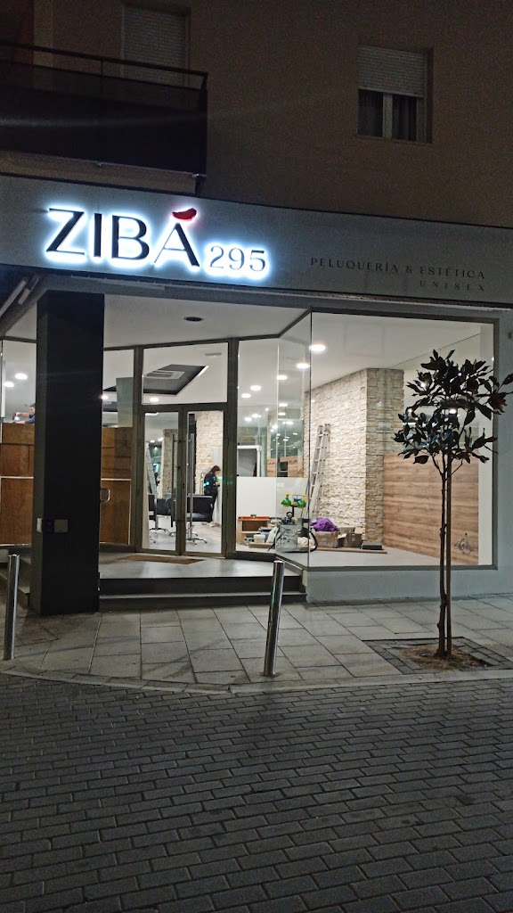 ZIBA295 — Exterior