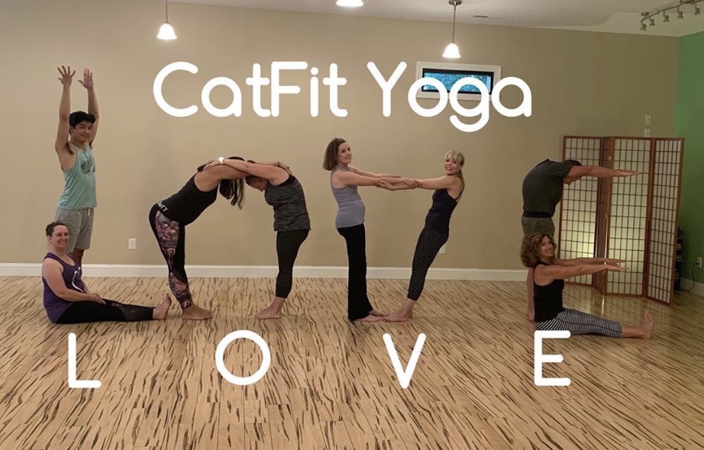  CatFit Yoga