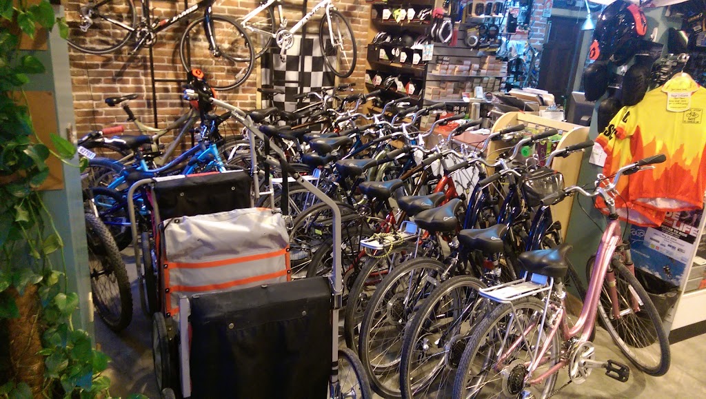 Photo of Bike Stop Cafe