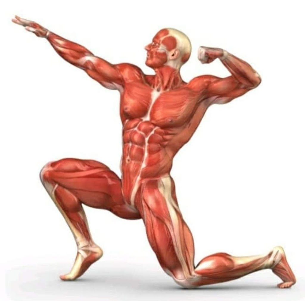  Totally Toned Personal Training