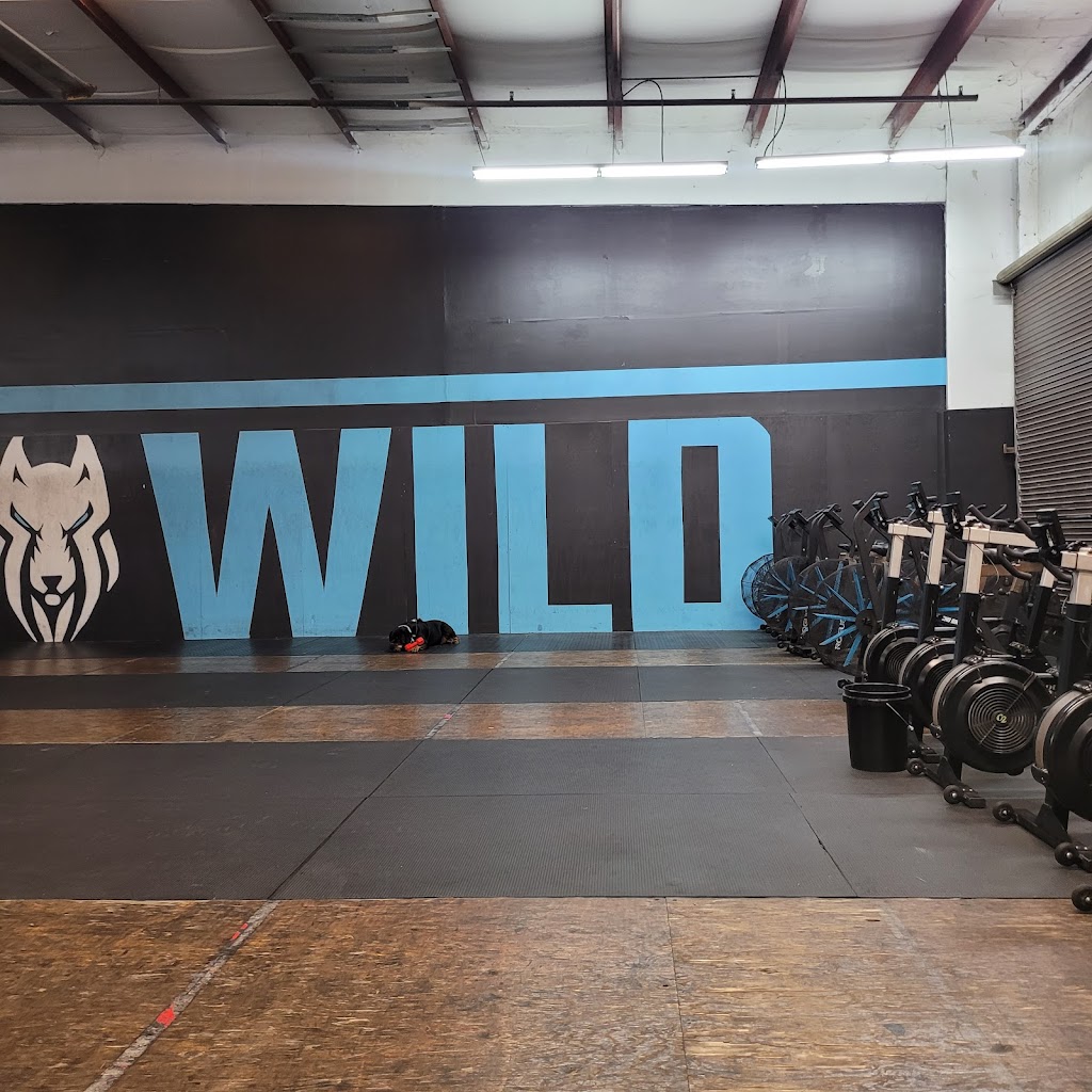  CrossFit Wild