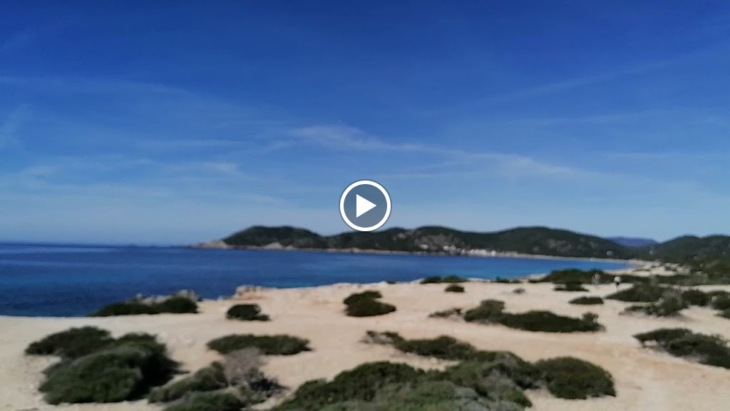 IBIFOR, S.A. - Ibiza — Videos