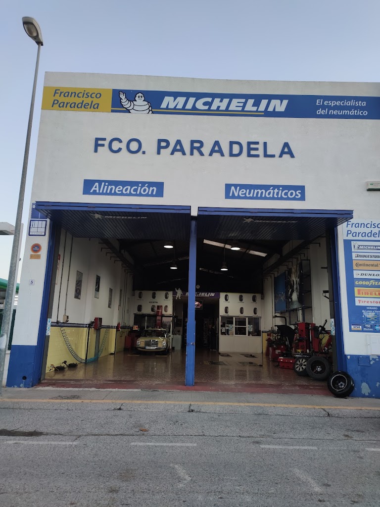 Neumaticos Michelin Francisco Paradela Fornell