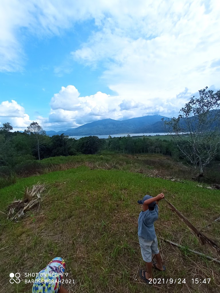 TANAH LADANG ZULKARNAINI