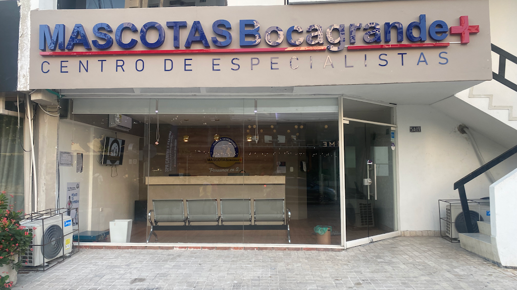 Clinica Veterinaria Mascotas 24 Horas — Del propietario