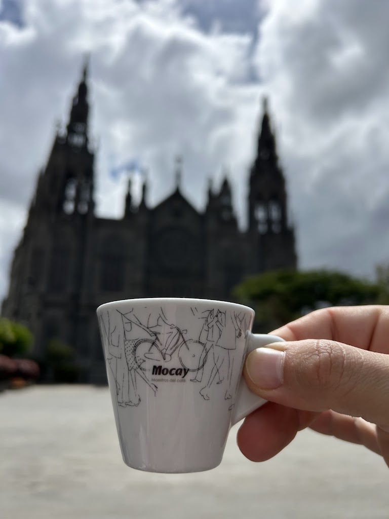 Cafe El Parque — Mas recientes