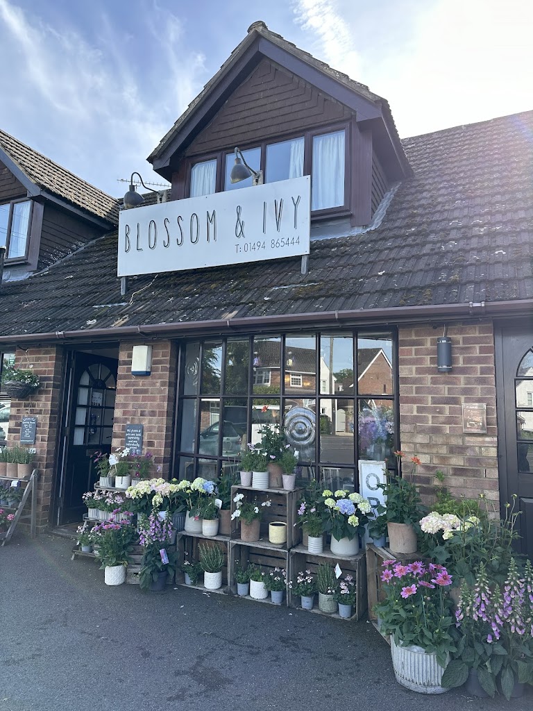 Blossom & Ivy