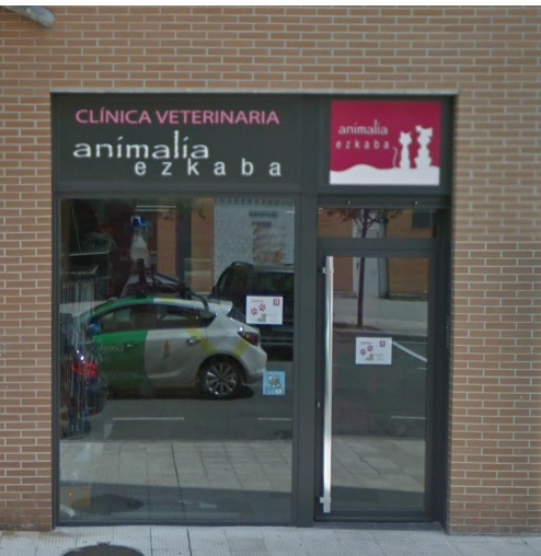Clinica Veterinaria Animalia Ezkaba