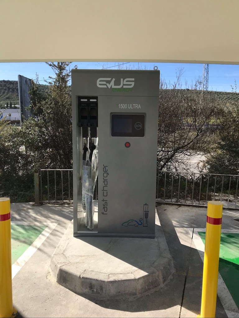 Estacion de carga de vehiculos electricos — Del propietario