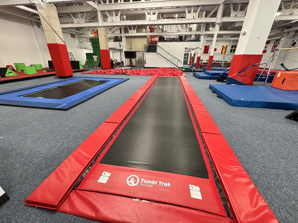  Gold Medal Gymnastics & Ninja