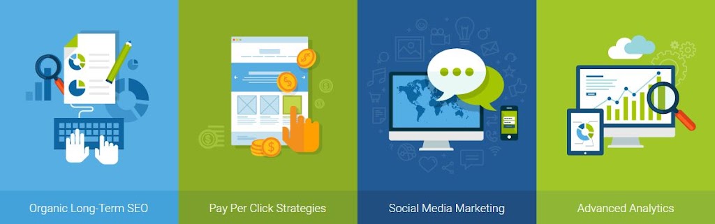 Dm Web Solution