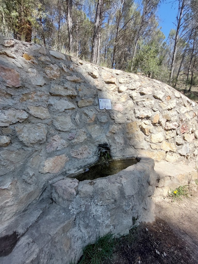Fuente de La Veguilla