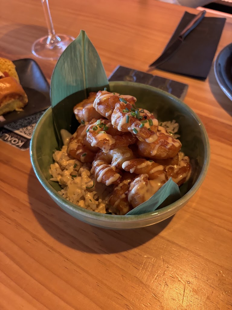 Koala Rest Club — Mas recientes