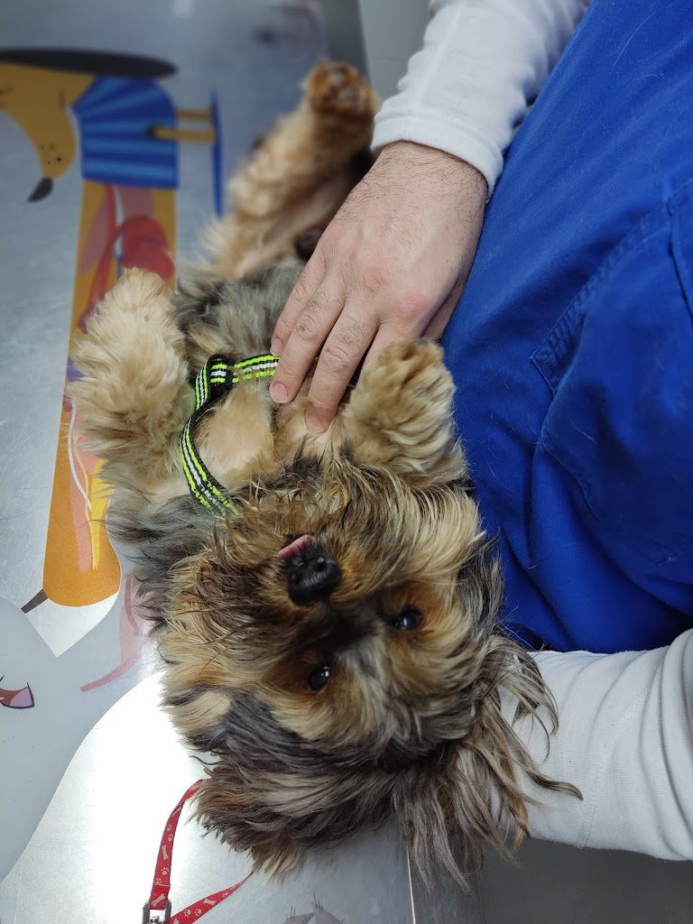 Guadalvet Veterinarios