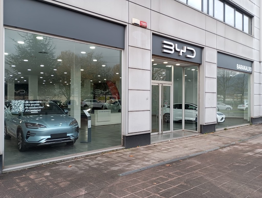 BYD BLENDIO | Bilbao - Barakaldo — Del propietario
