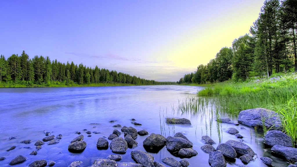 Return to Terrapin Massage Therapy in Agawam