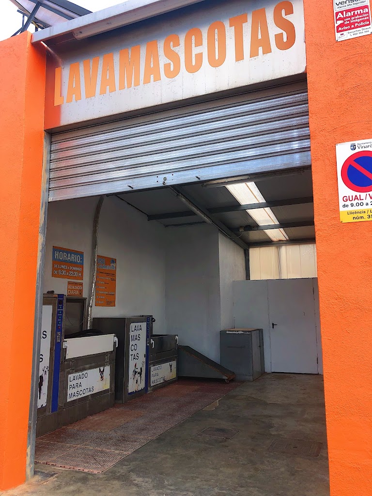Autolavado Vehiculos y Mascotas J.Garcia — Exterior