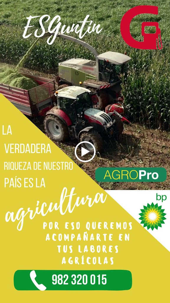 Estacion De Servicio Guntin — Videos