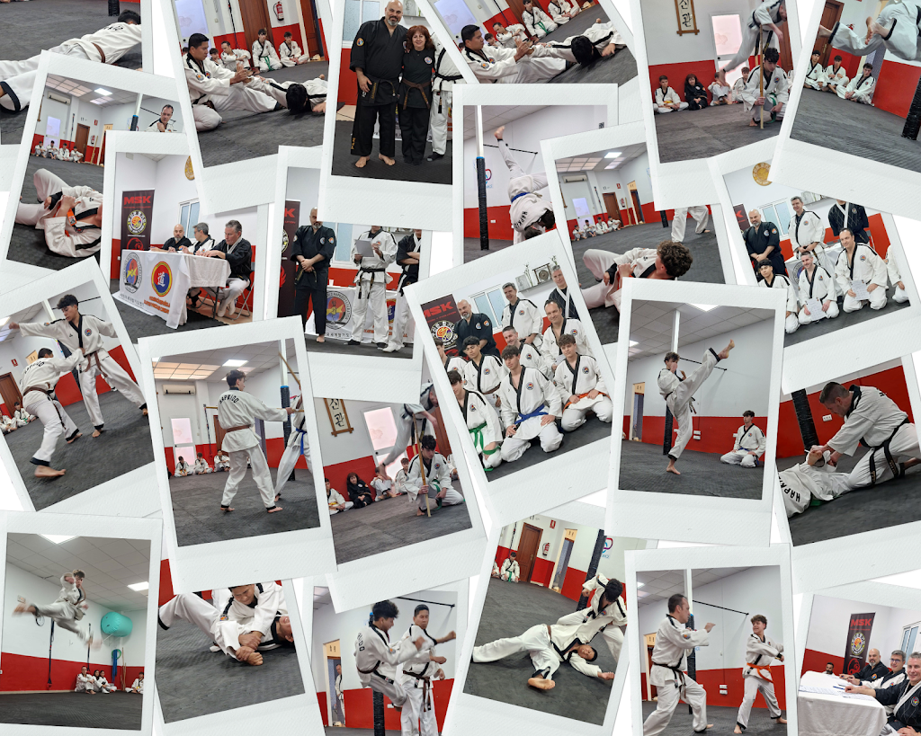 Moo Shin Kwan - Hapkido Lucena (MSK) — Comunidad