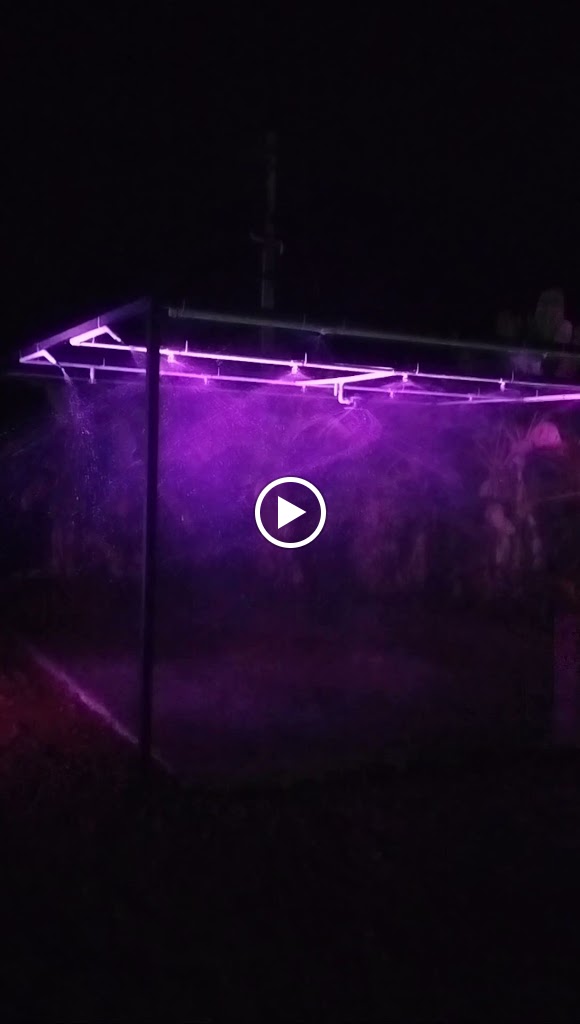Videos
