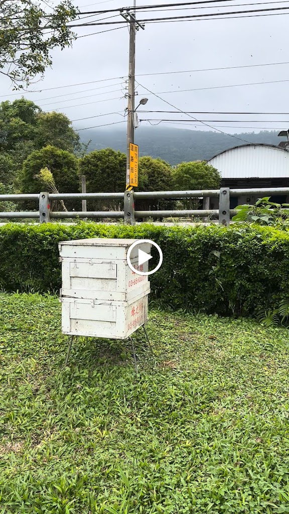 蜂之鄉 - 鳳林蜜蜂生態教育館 的照片