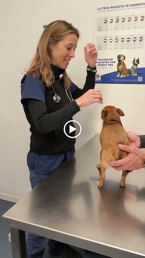 Provitas Veterinaria — Del propietario