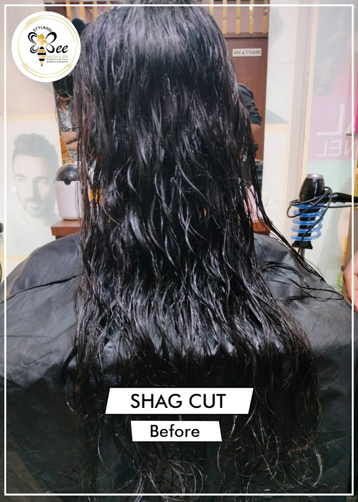 Stylandbee Unisex Salon Academy