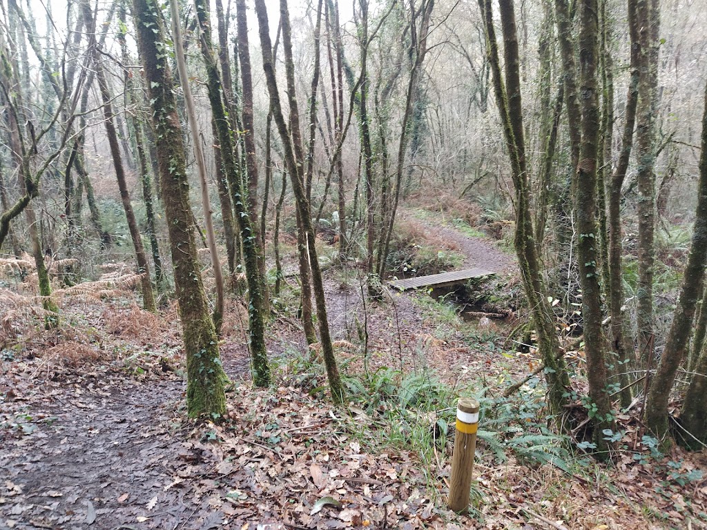 PR-G 238 Ruta dos Petroglifos de Teo