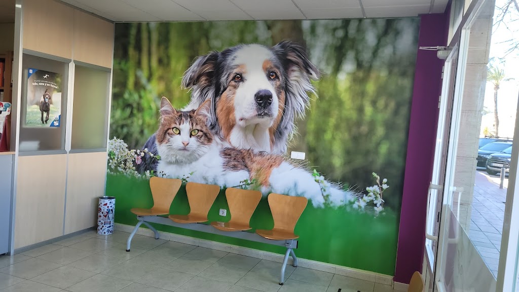 Clinica Veterinaria Arenal