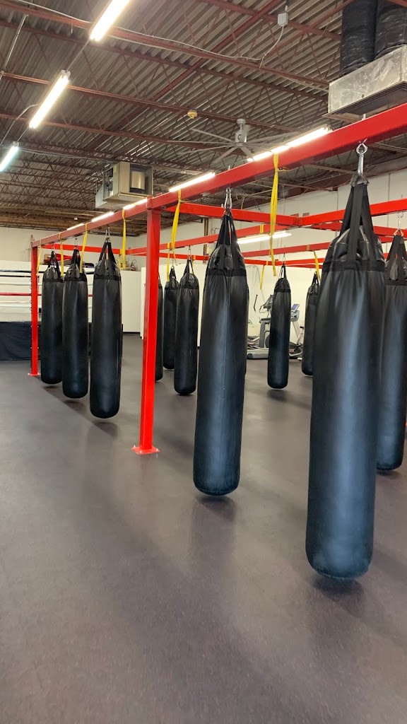  Fight Shape Gym