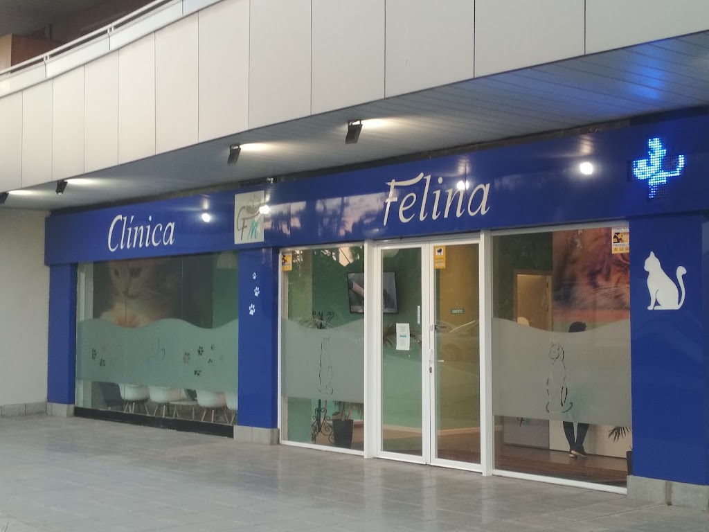 Clinica Veterinaria Felina Malagat — Del propietario