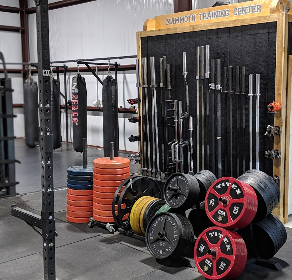  Mammoth Training Center