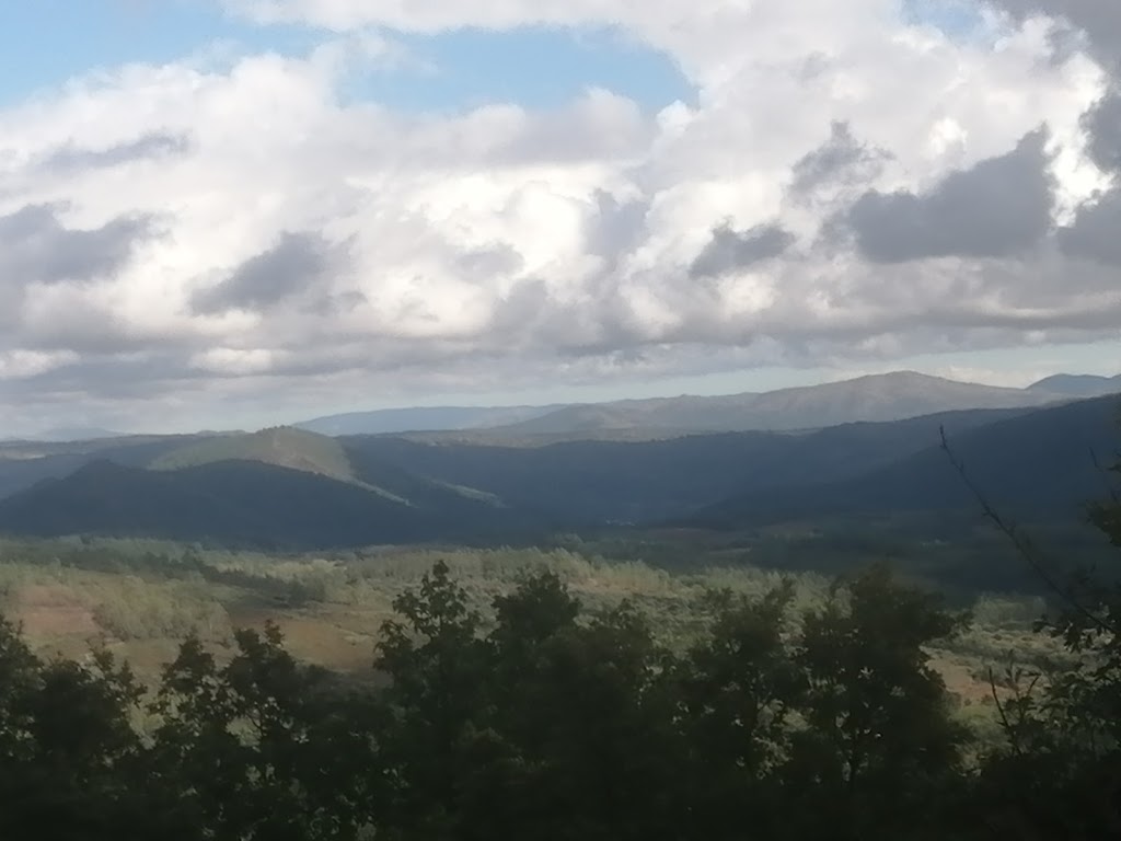 El Rapao