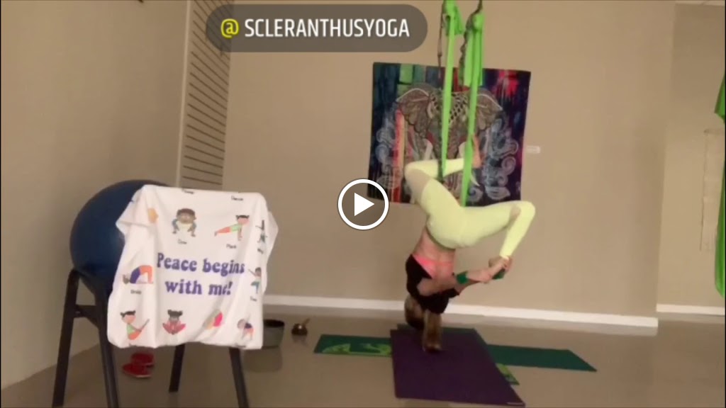  Scleranthus Aerial Yoga - Miami’s Preferred Aerial Yoga @miamisaerialyoga