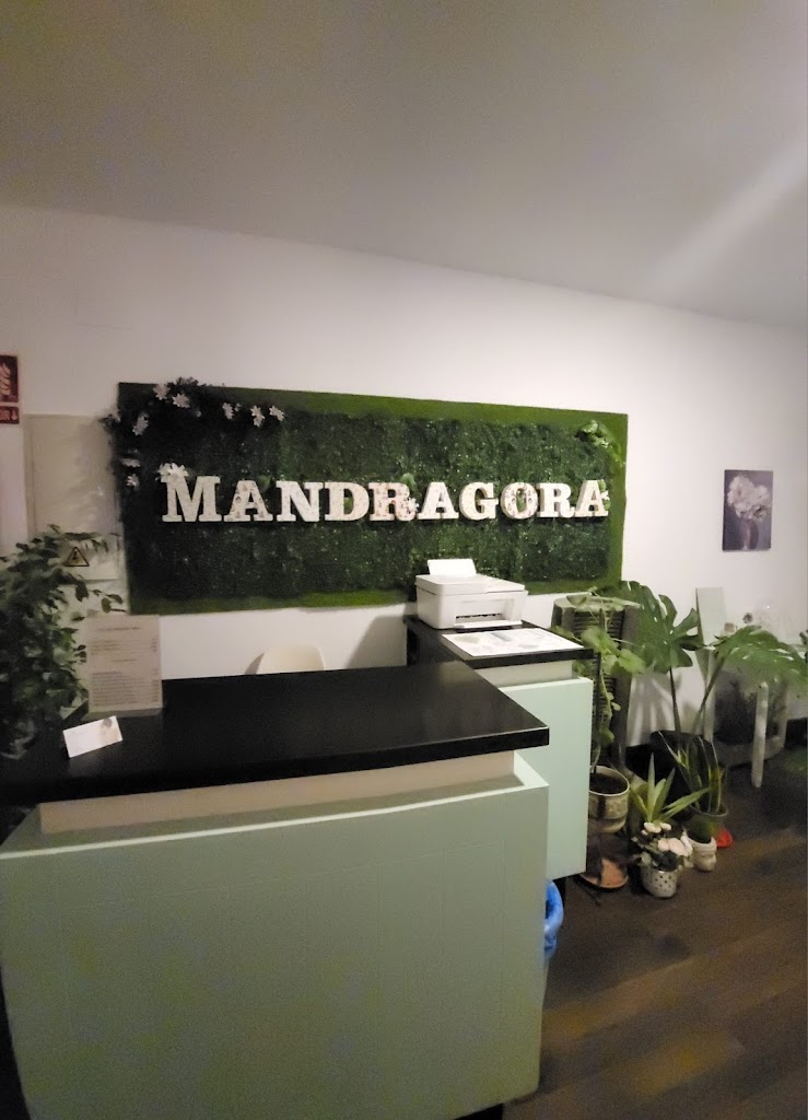 CENTRO DE BIENESTAR MANDRAGORA PLASENCIA