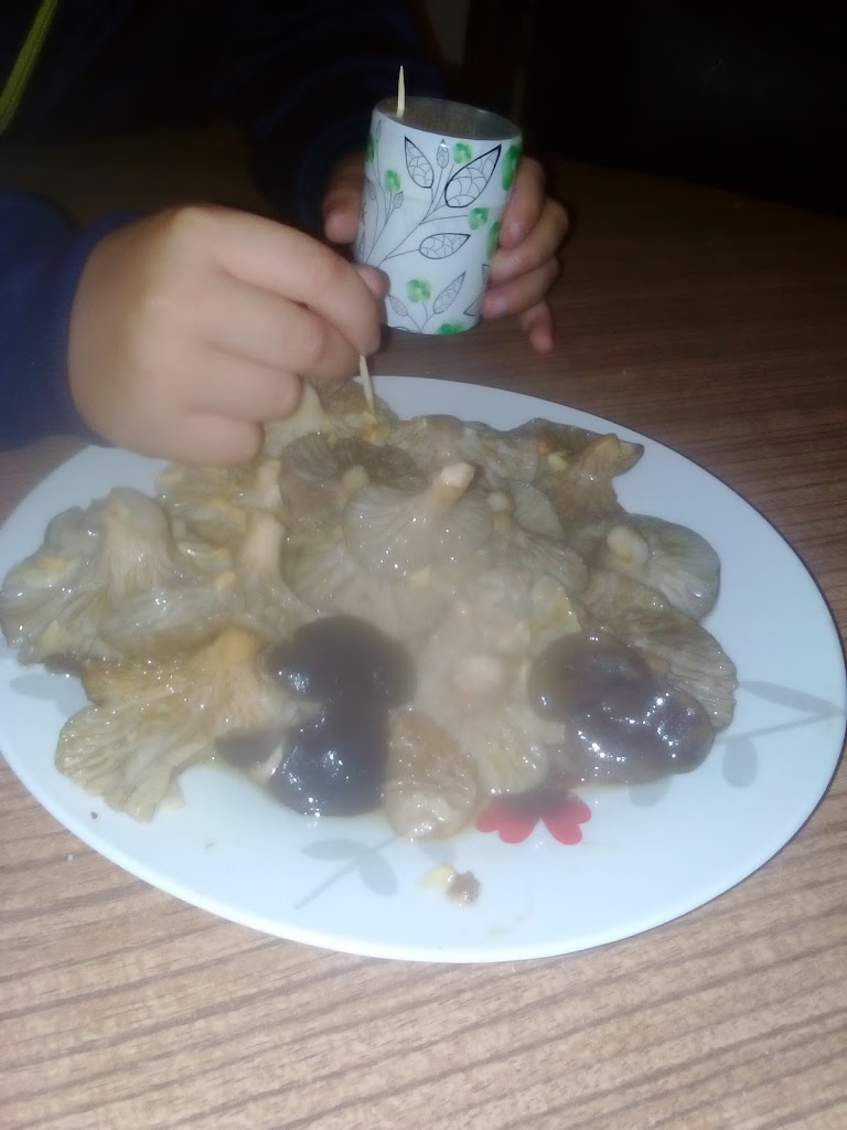 BAR EL REY e HIJOS. — Pierogi