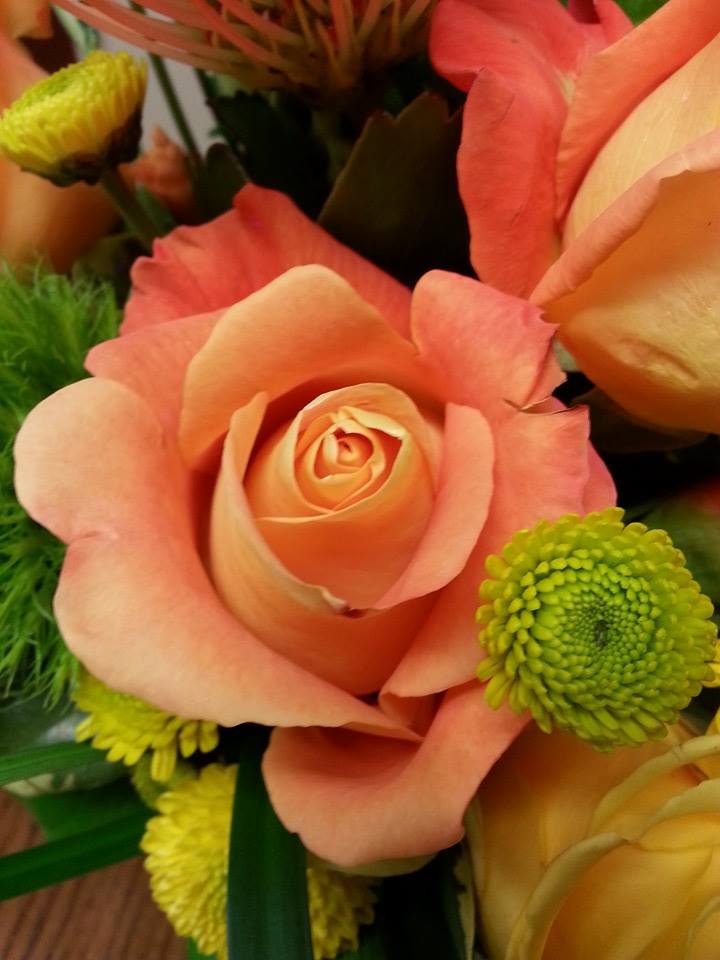 The Flower Petaler