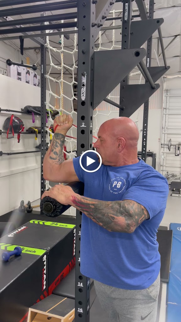  Muscle Mechanics LTM