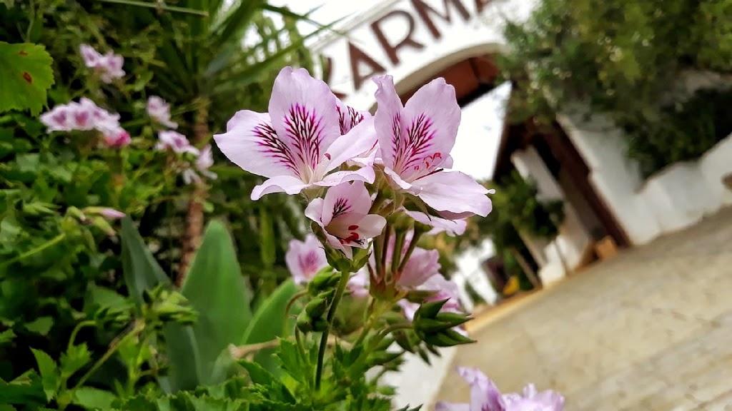 Karma terraza — Del propietario