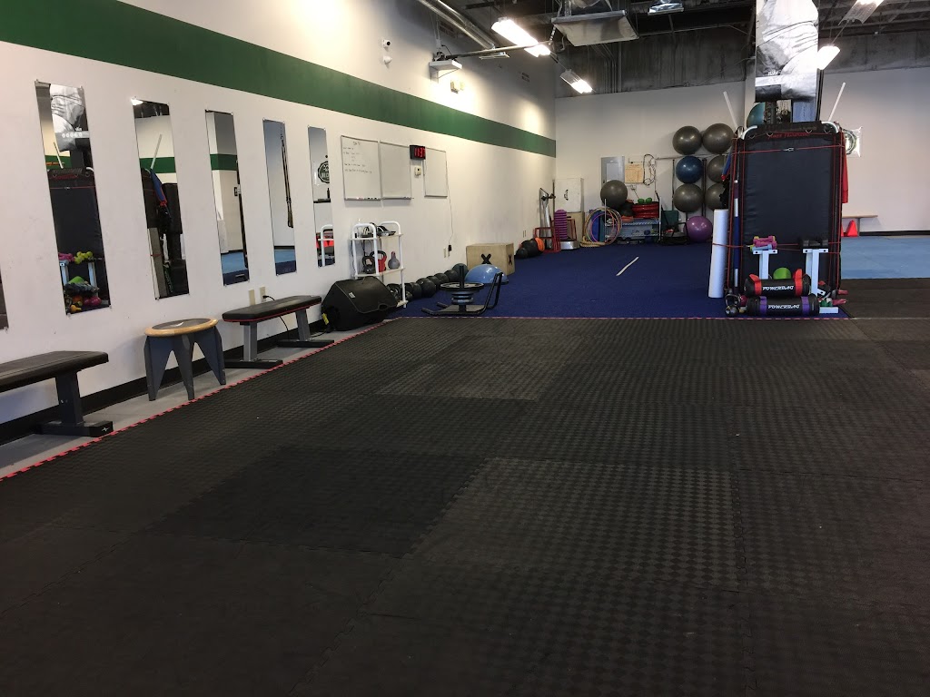  Fit Club International