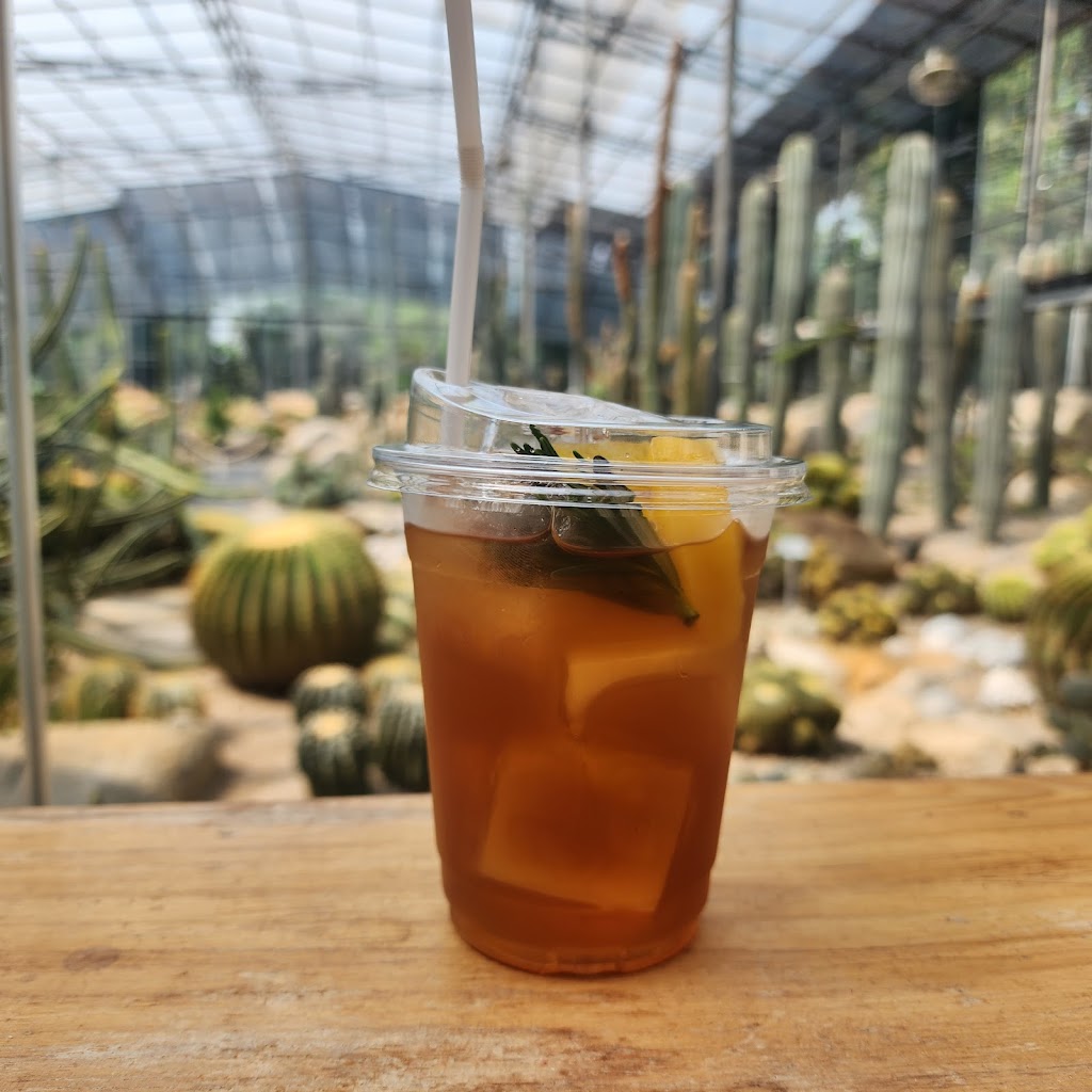 รูปภาพของ Botanist activity space