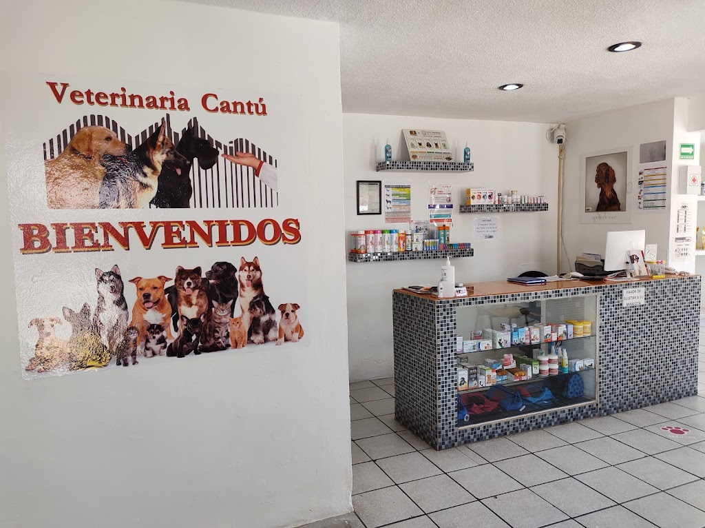 Veterinaria Cantu