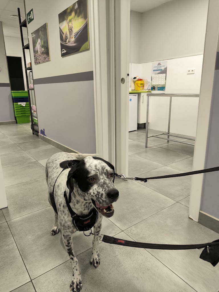 Clinica Veterinaria Alameda