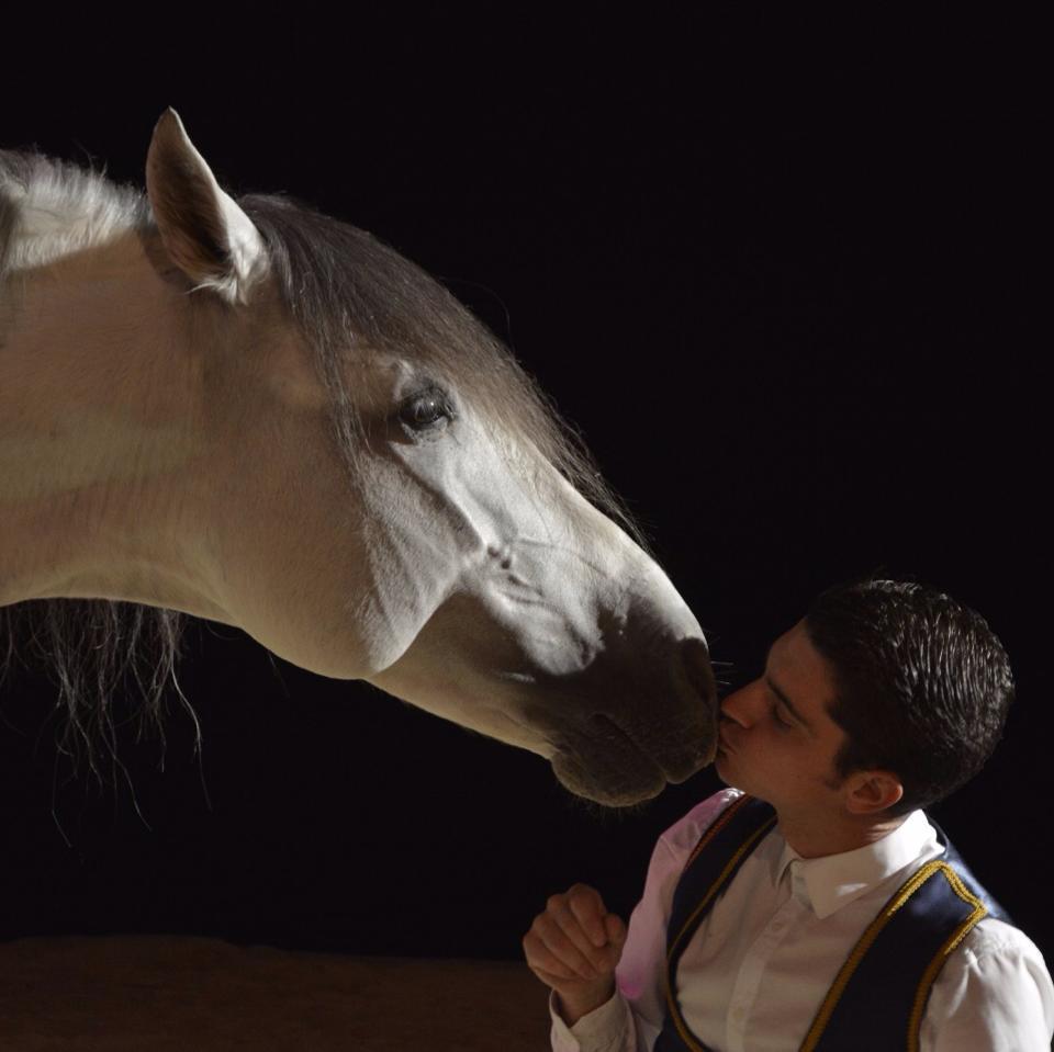 Centro Ecuestre "El Rocio" COIN