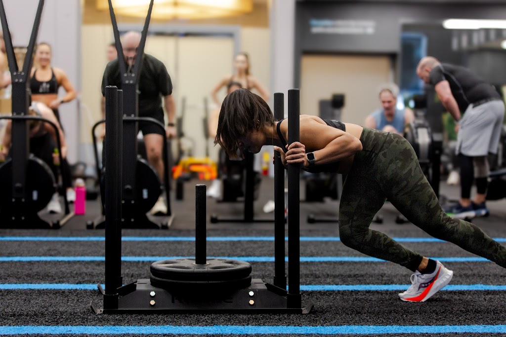  Arena Fitness & Performance