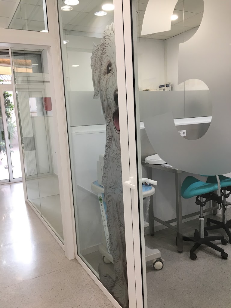 MORERA CLINICA VETERINARIA — Del propietario