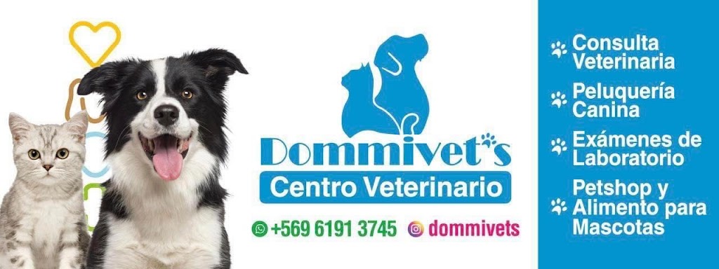 Centro Veterinario Dommivets en Lampa