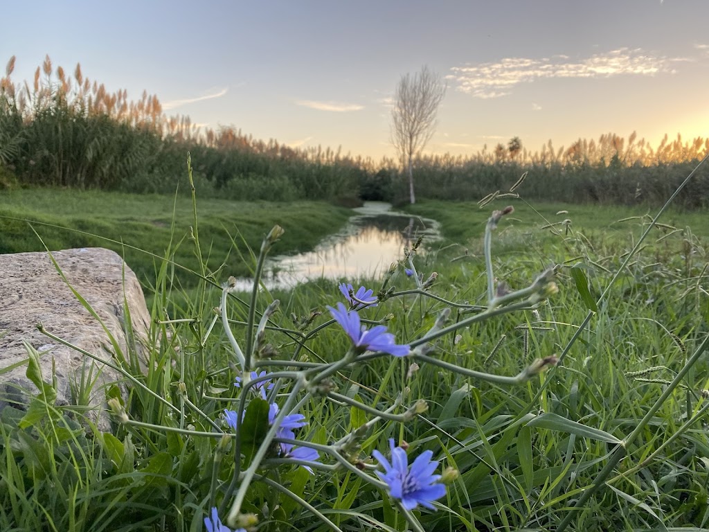 Aparcament Platja Port de Sagunt