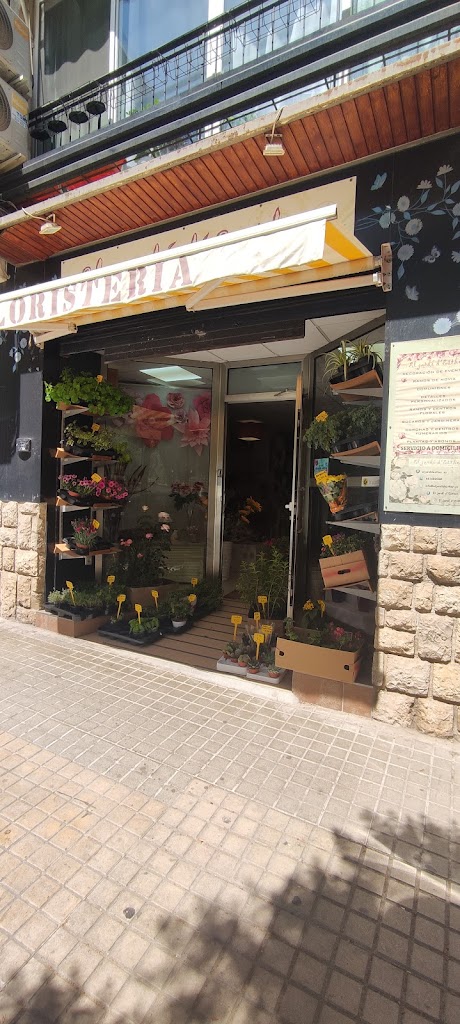 Floristeria Online Valencia - El Jardi d'Esther